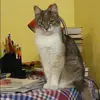 Отзыв от Эльмира Овчинникова